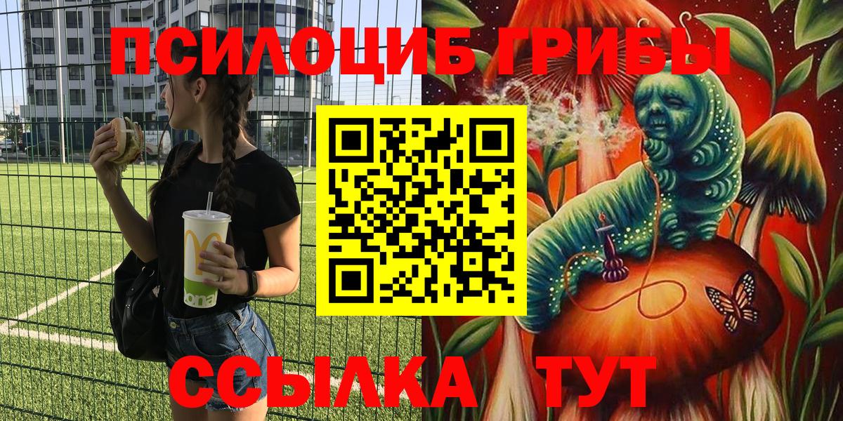 Псилоцибиновые грибы Psilocybe Назарово