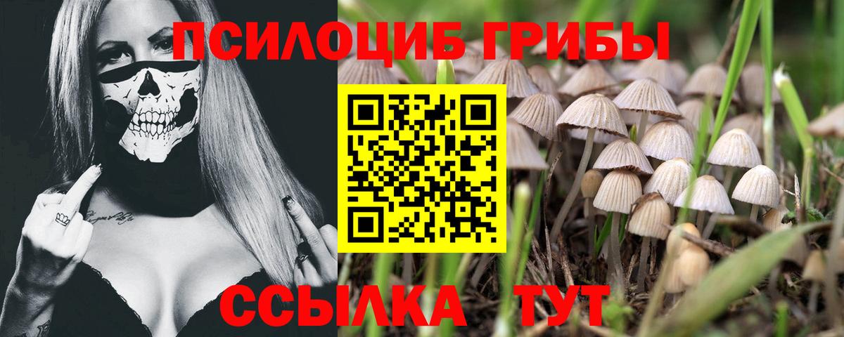 Псилоцибиновые грибы MAGIC MUSHROOMS  купить наркотик  Псилоцибиновые грибы MAGIC MUSHROOMS  Назарово  Вход с VPN 